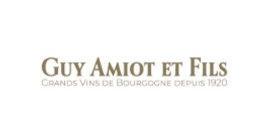 (image for) Guy Amiot PULIGNY MONTRACHET LES DEMOISELLES 2014 [GL ]